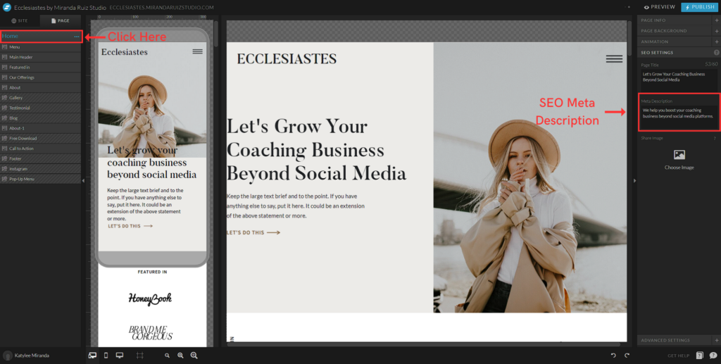 Showit in platform SEO features
